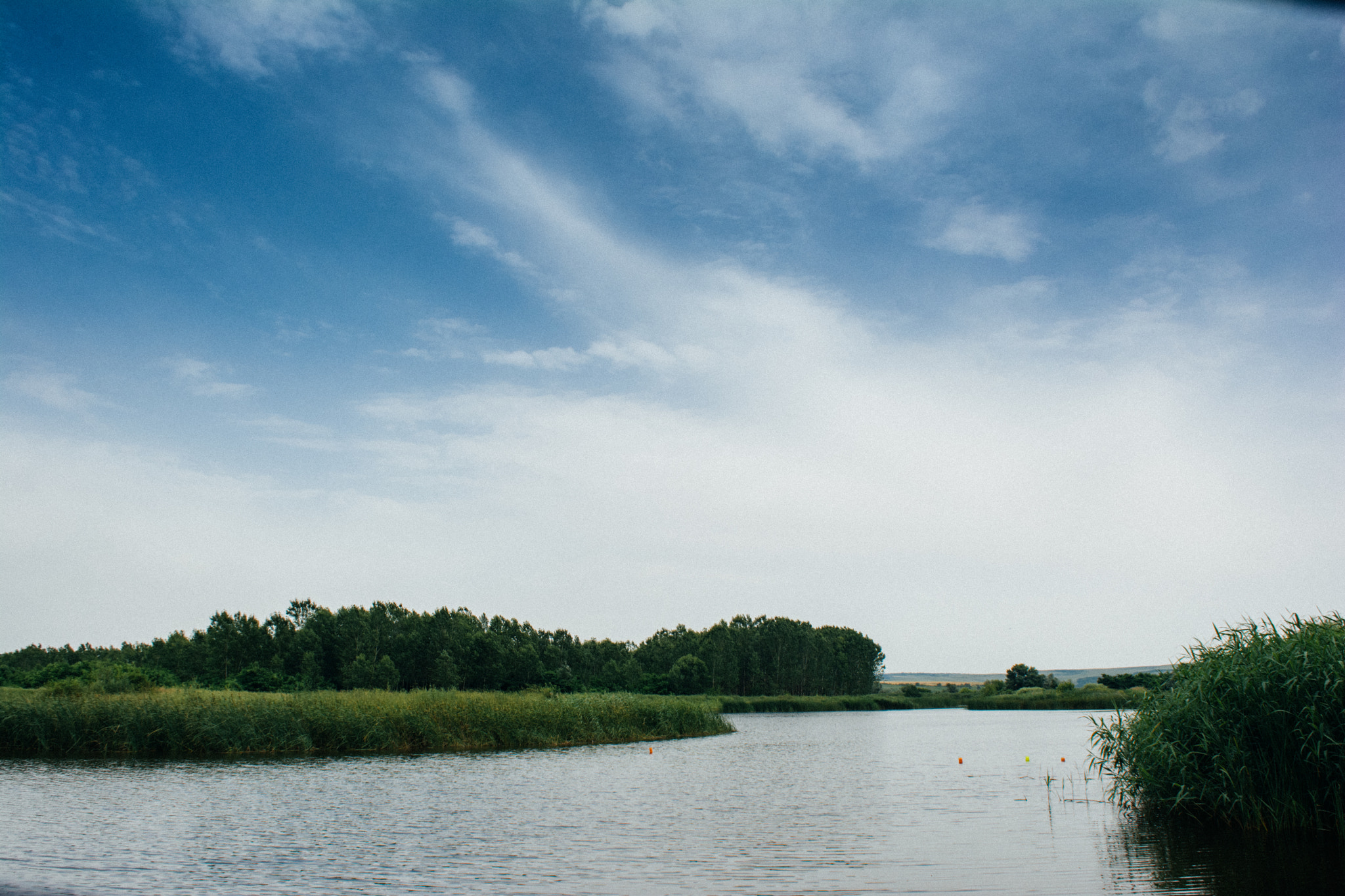 Sigma 18-50mm F2.8-4.5 DC OS HSM sample photo. Nature. photography