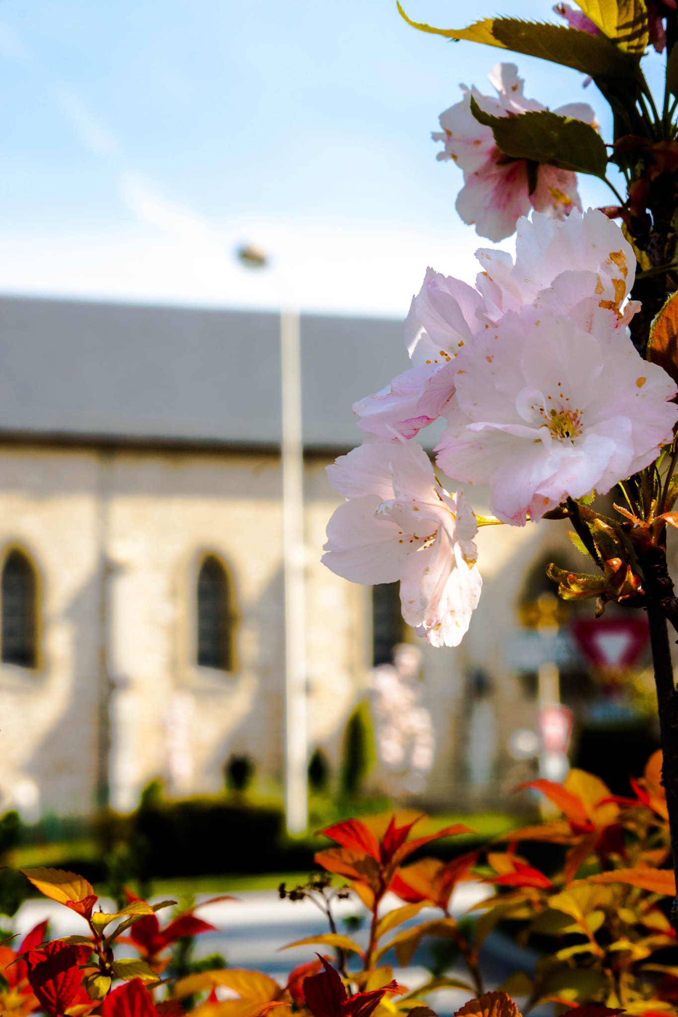 Canon EF 28-105mm f/3.5-4.5 USM sample photo. Church photography