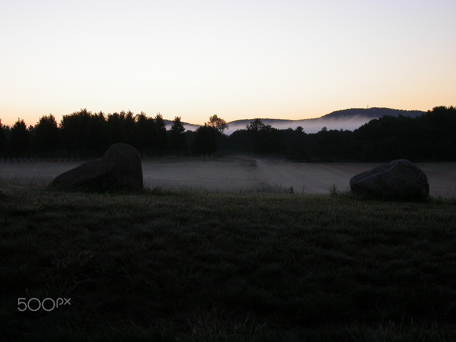 Nikon E4500 sample photo. Fine morning mist photography