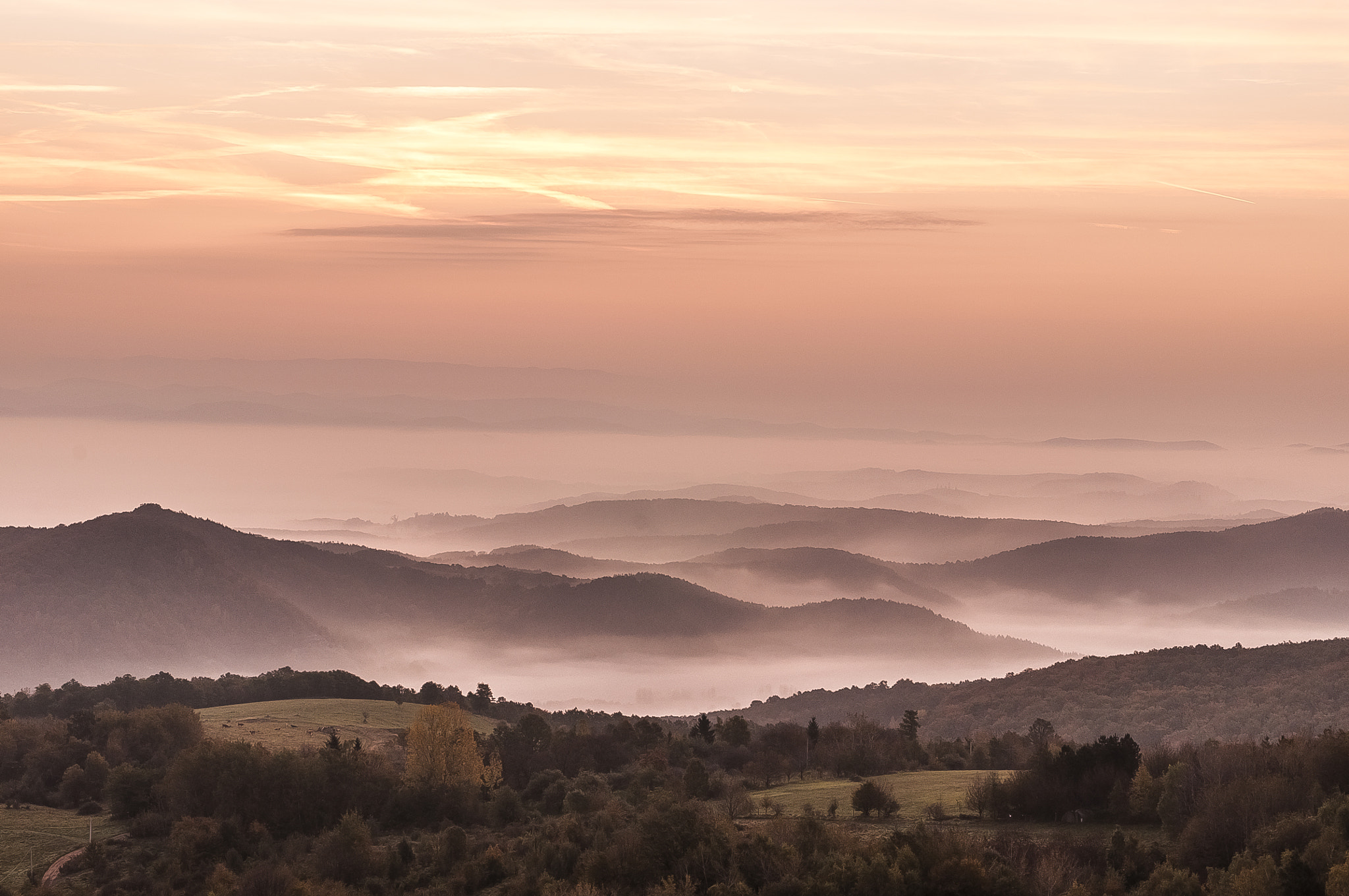 Sigma 17-70mm F2.8-4 DC Macro OS HSM | C sample photo. Golden morning photography