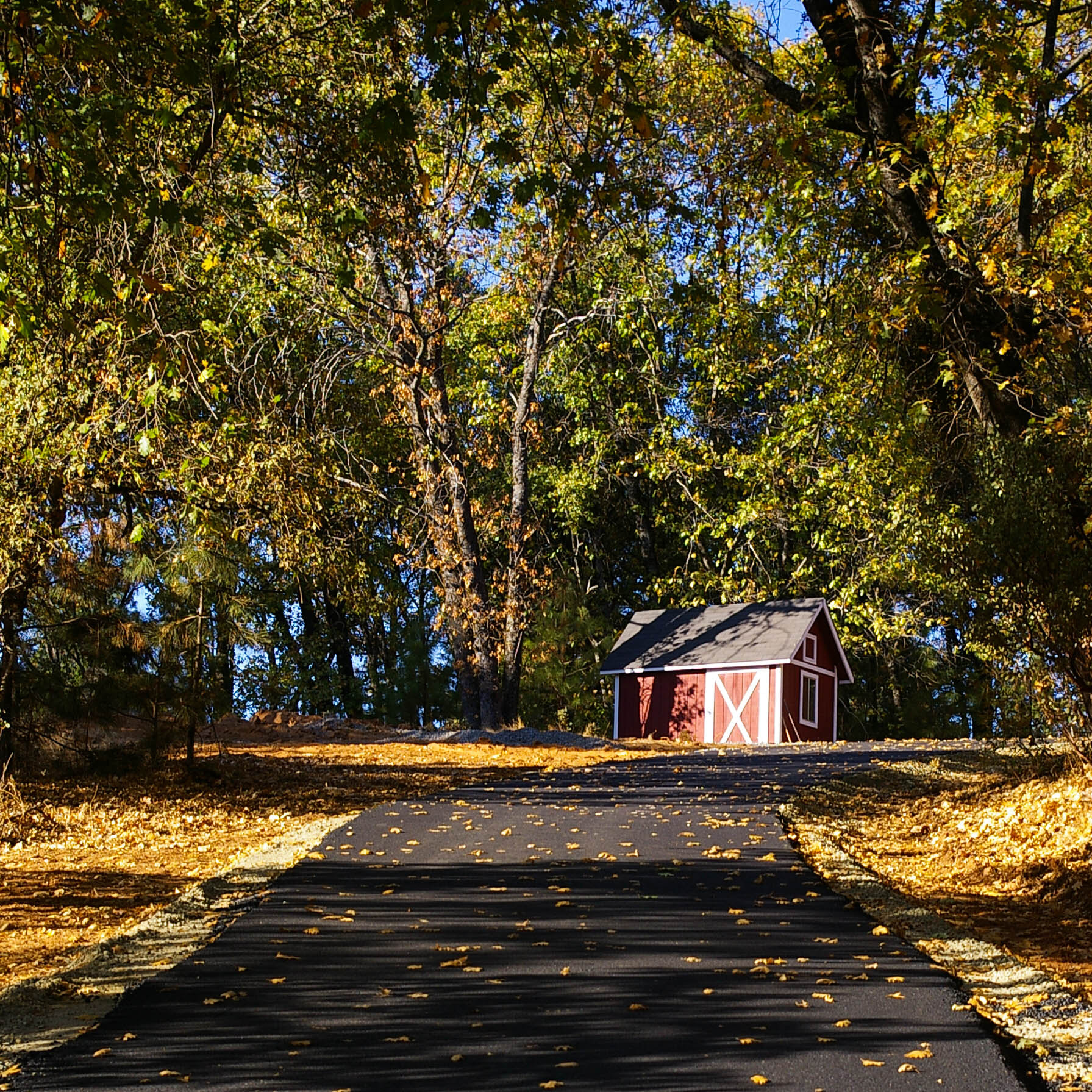 Pentax *ist DS sample photo. Tool shed photography