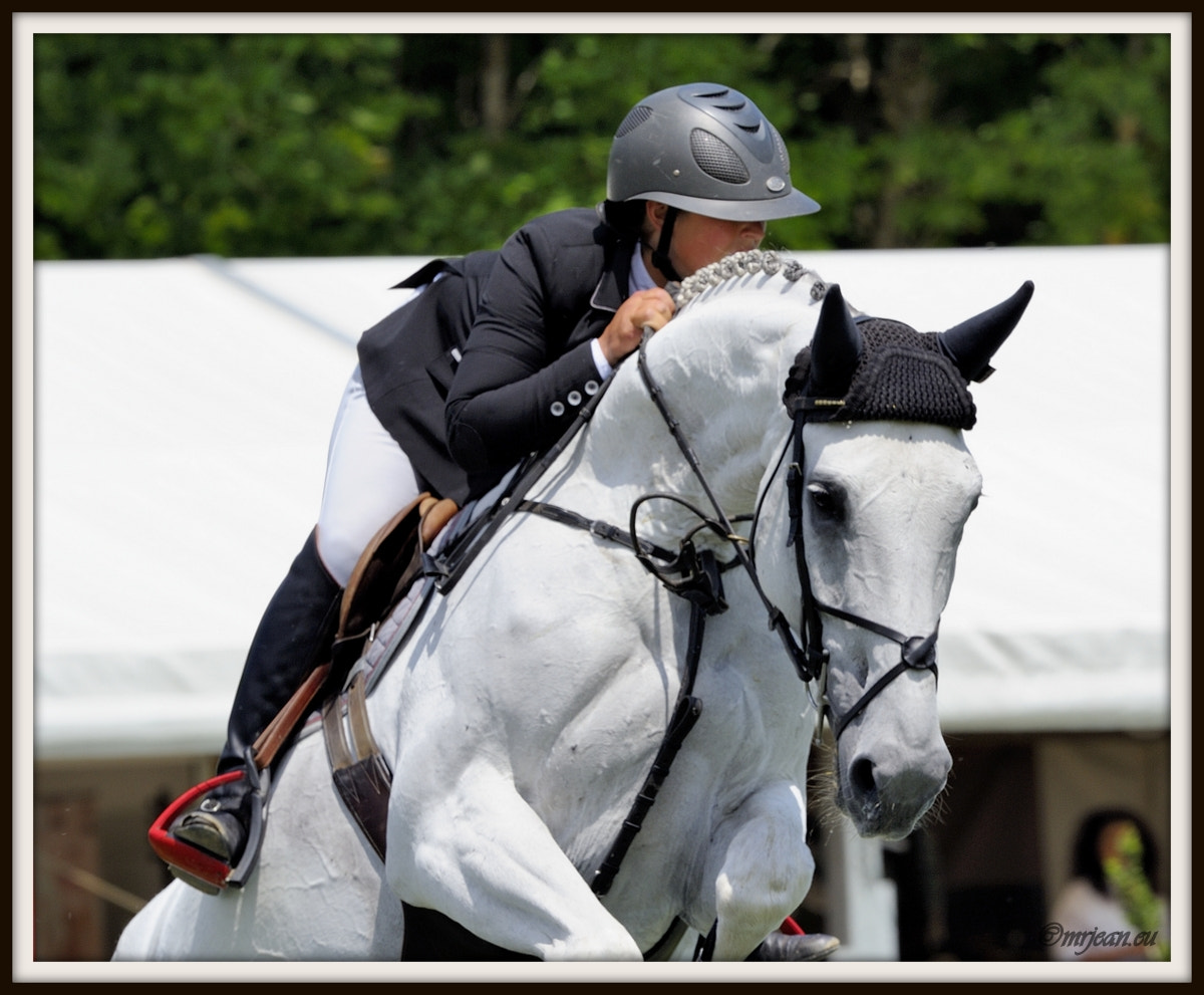 Nikon AF-S Nikkor 400mm F2.8E FL ED VR sample photo. Csi1 le quotidien reiser päedsdeeg 2016 photography