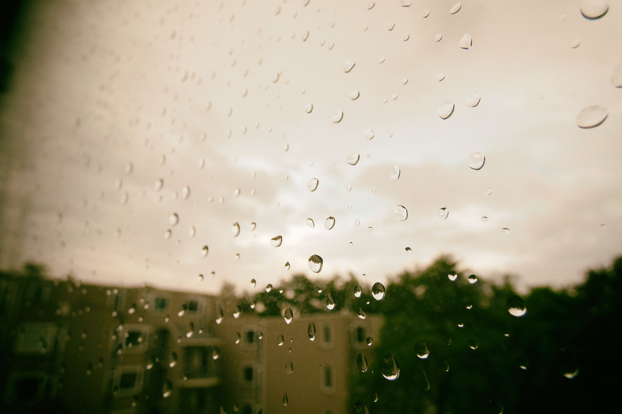 Samsung WB2200F sample photo. 5654.jpg photography