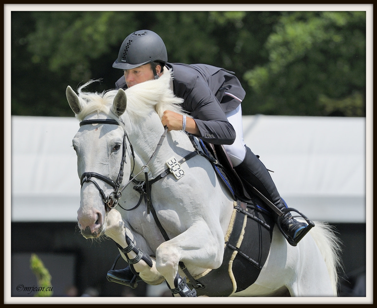Nikon AF-S Nikkor 400mm F2.8E FL ED VR sample photo. Csi1 le quotidien reiser päedsdeeg 2016 photography
