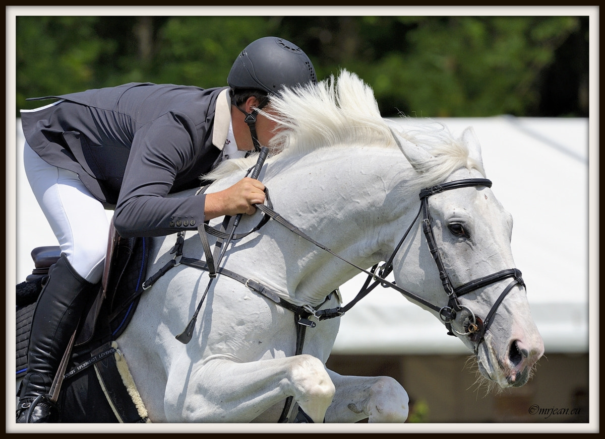Nikon AF-S Nikkor 400mm F2.8E FL ED VR sample photo. Csi1 le quotidien reiser päedsdeeg 2016 photography