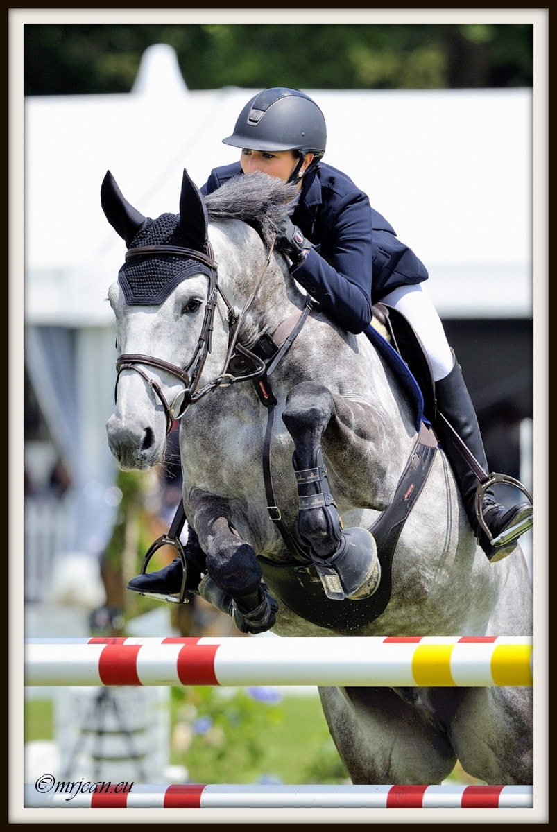 Nikon AF-S Nikkor 400mm F2.8E FL ED VR sample photo. Csi1 le quotidien reiser päedsdeeg 2016 photography