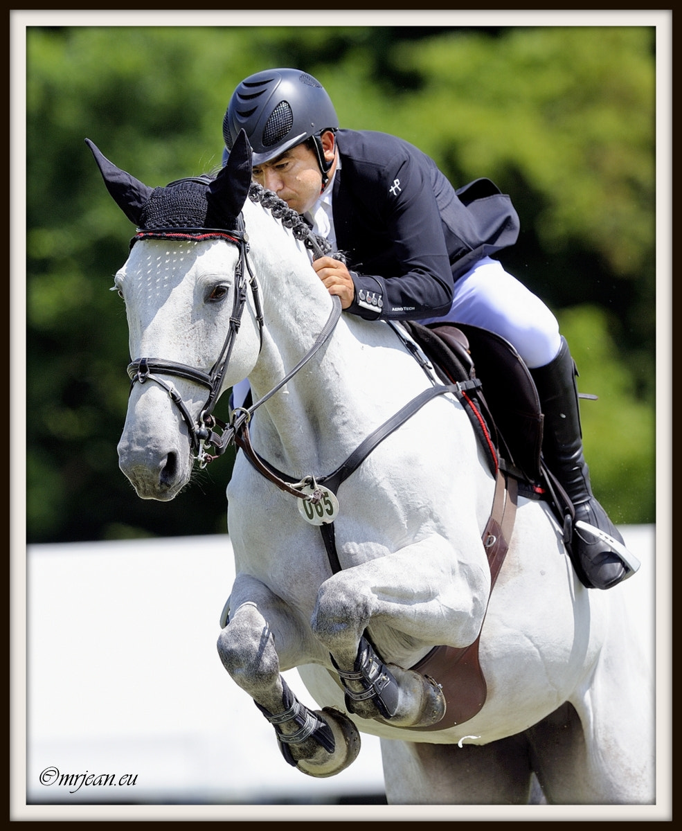 Nikon AF-S Nikkor 400mm F2.8E FL ED VR sample photo. Csi1 le quotidien reiser päedsdeeg 2016 photography