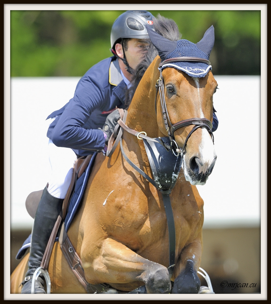 Nikon AF-S Nikkor 400mm F2.8E FL ED VR sample photo. Csi1 le quotidien reiser päedsdeeg 2016 photography