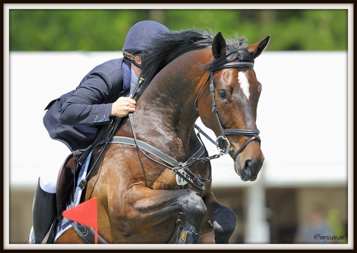 Nikon AF-S Nikkor 400mm F2.8E FL ED VR sample photo. Csi1 le quotidien reiser päedsdeeg 2016 photography