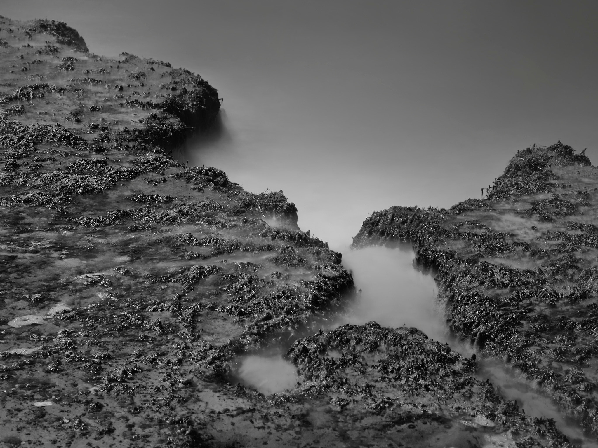 Macro-Elmar-M 1:4/90 sample photo. Edge of the world... photography