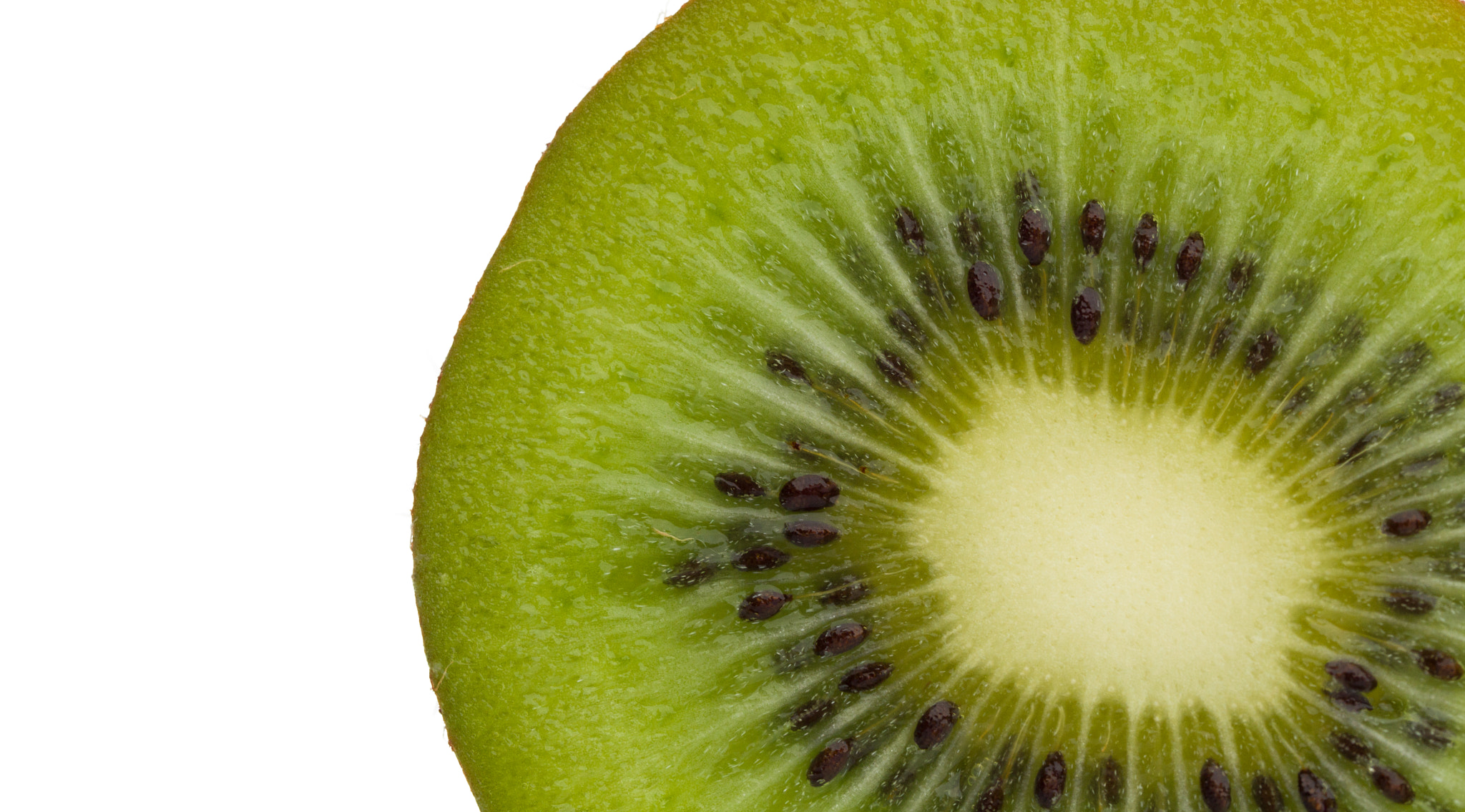 Olympus M.Zuiko Digital ED 60mm F2.8 Macro sample photo. Kiwi, time for a healthy snack photography
