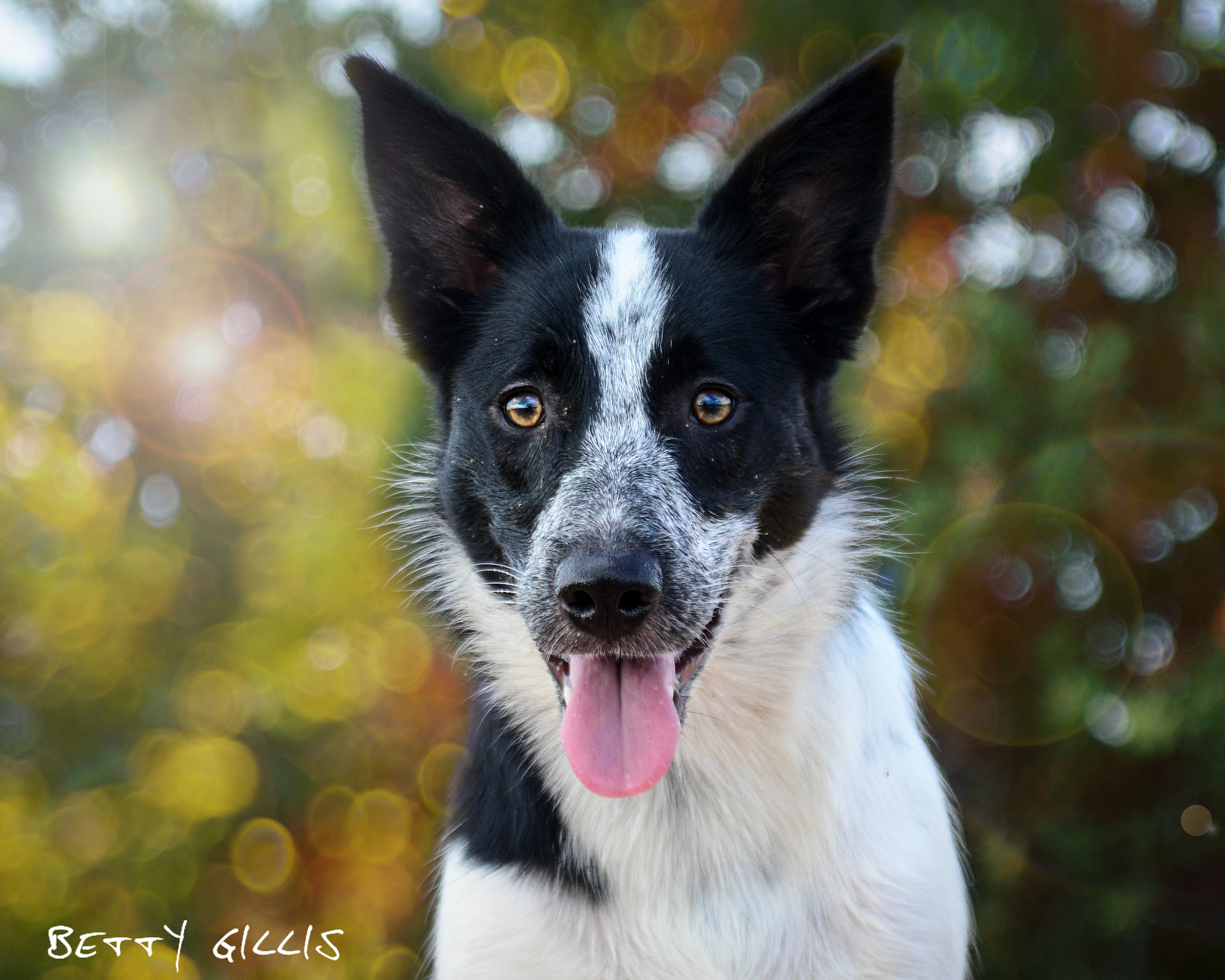 AF Zoom-Nikkor 28-100mm f/3.5-5.6G sample photo. Maud... photography