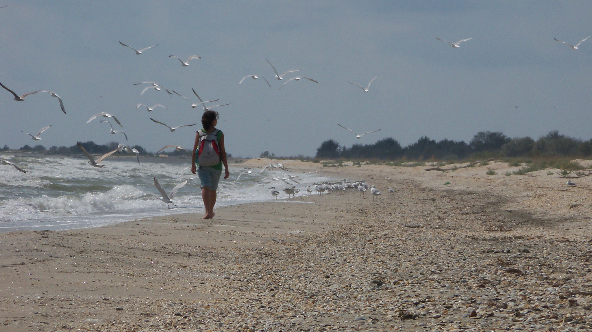 Kodak EasyShare Z915 sample photo. One summer photography