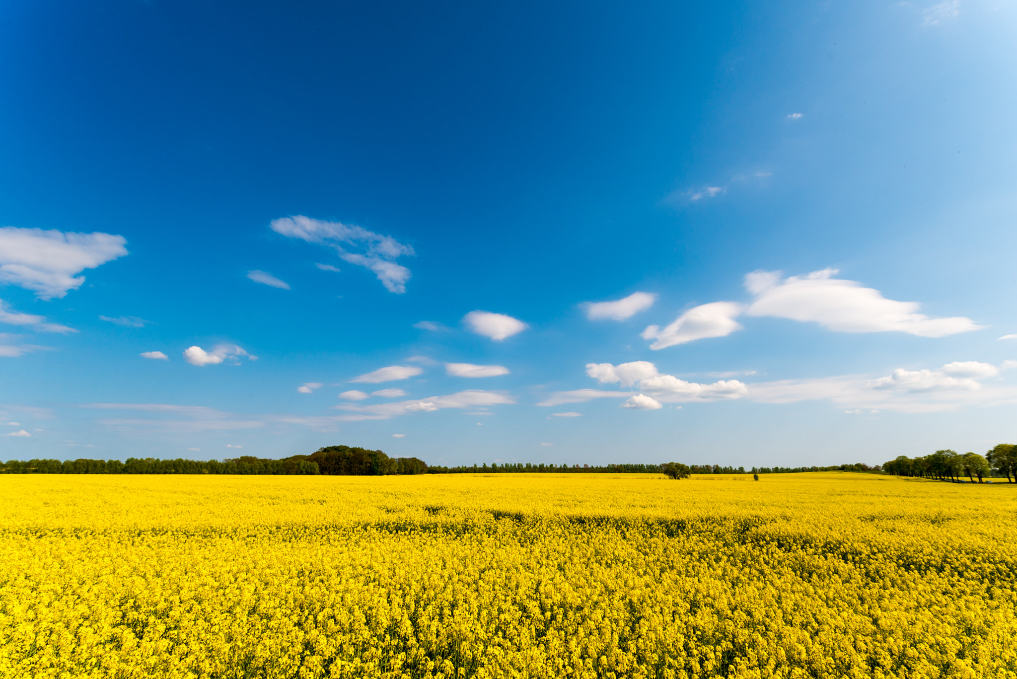 Nikon D610 + Sigma 17-35mm F2.8-4 EX Aspherical sample photo. Lovely day photography