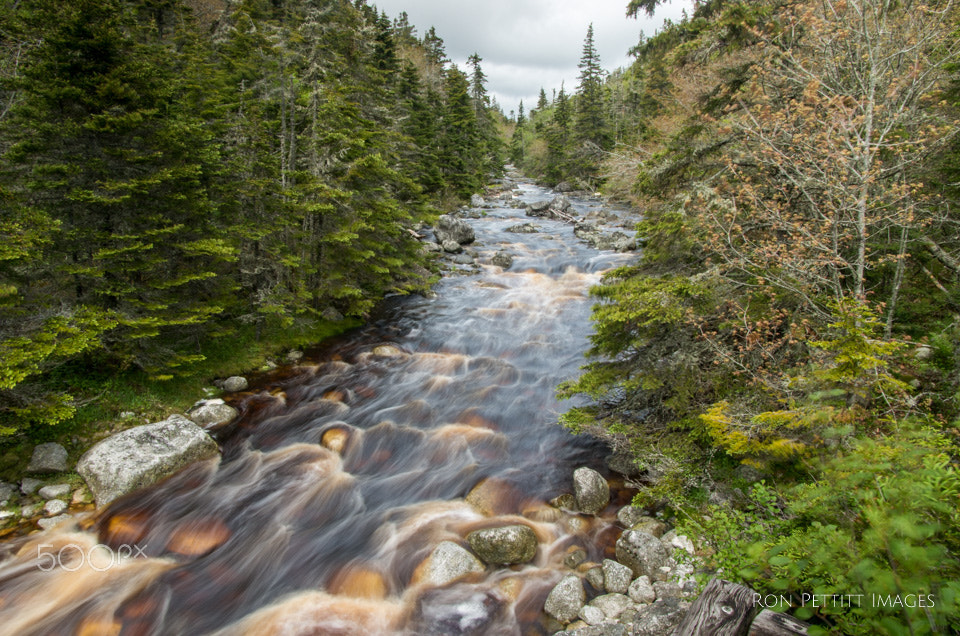 Pentax smc DA* 16-50mm F2.8 ED AL (IF) SDM sample photo. Wilderness stream photography
