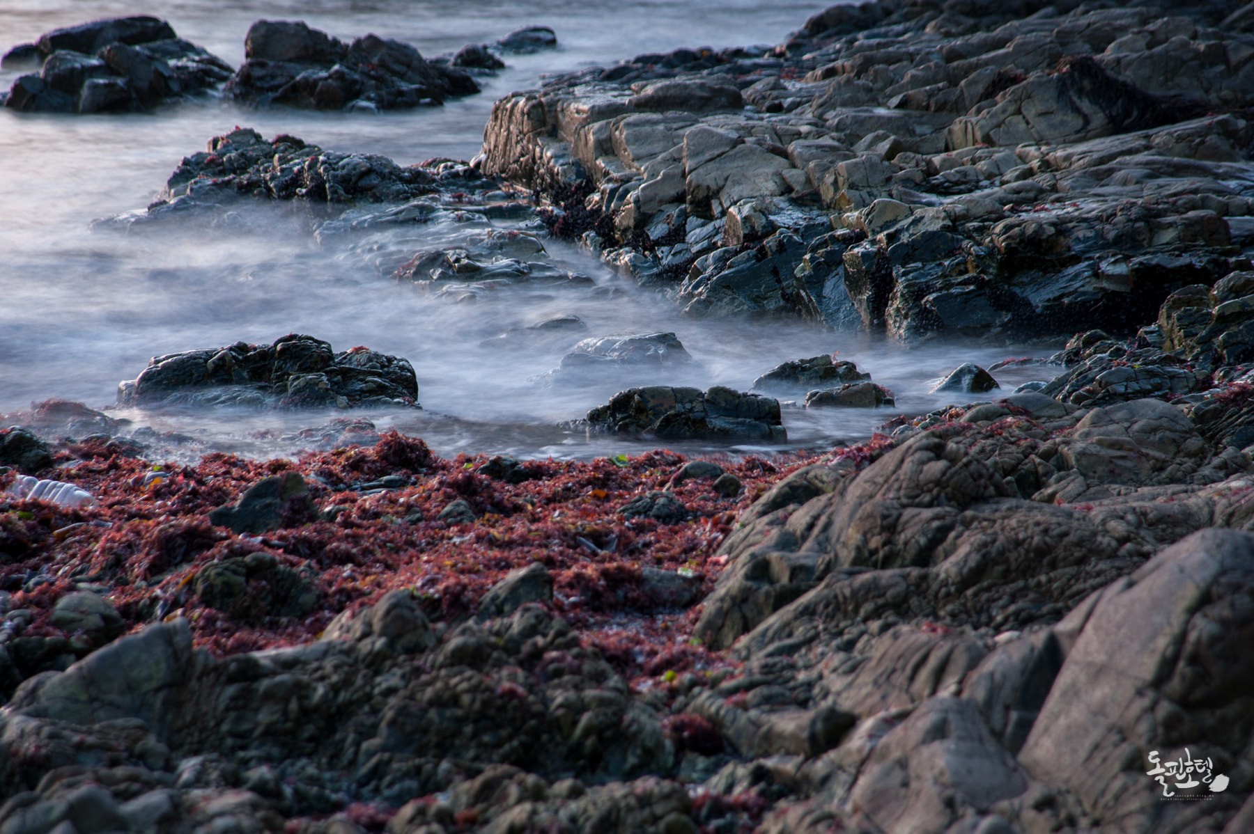 AF Zoom-Nikkor 24-120mm f/3.5-5.6D IF sample photo