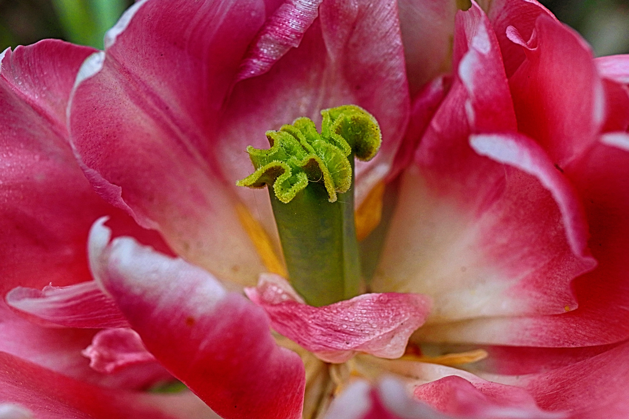 Canon EF 24-70mm F4L IS USM sample photo. Every so often i take a photographic turn off my u ... photography