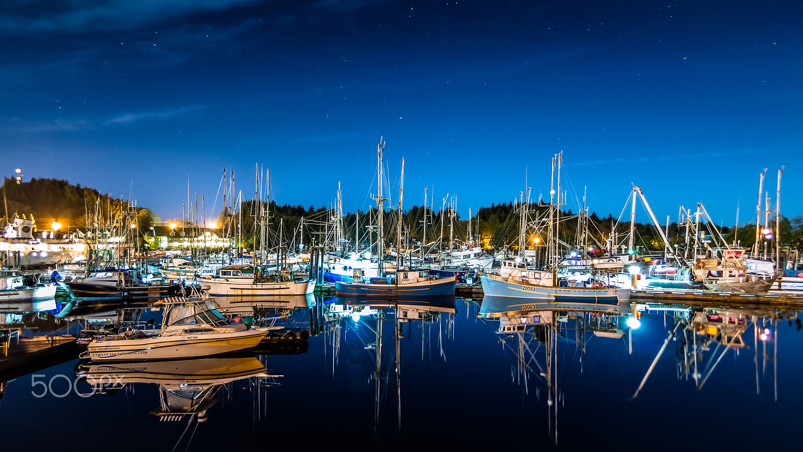 Nikon D800 + Nikon AF Fisheye-Nikkor 16mm F2.8D sample photo. Ucluelet by night 2 photography