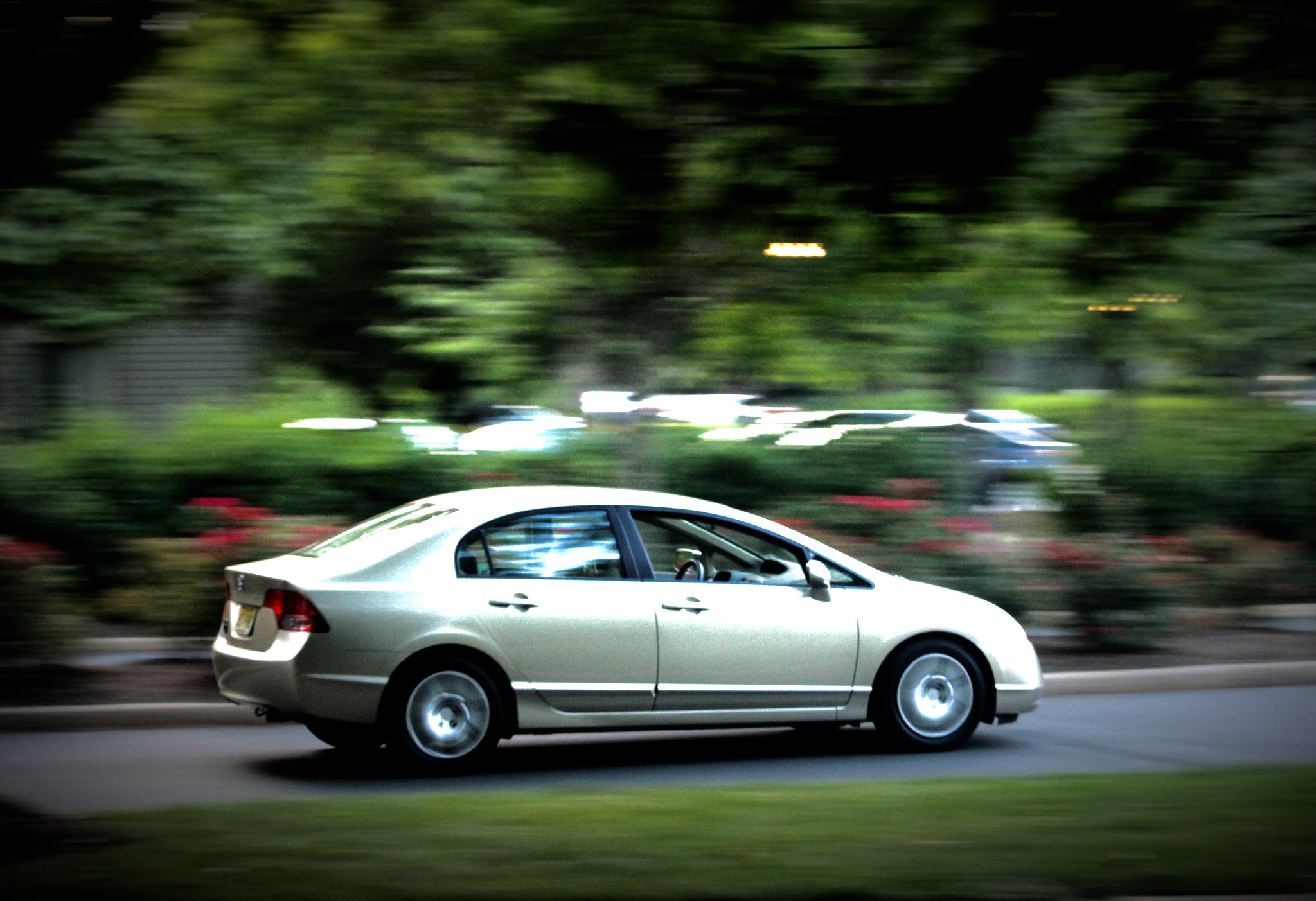Canon EF-S 55-250mm F4-5.6 IS II sample photo. Panning shot photography