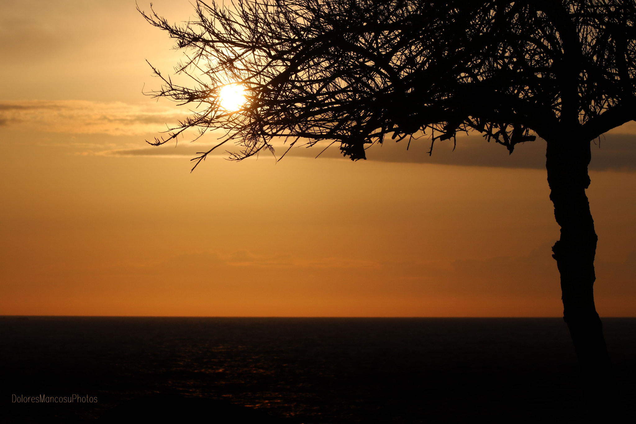 Canon EF 70-300mm F4-5.6 IS USM sample photo. Take the sun! photography