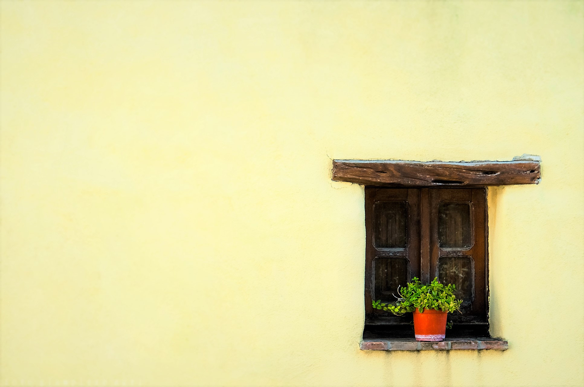 Pentax K-30 + smc PENTAX-F 35-105mm F4-5.6 sample photo. A vase of flowers at a rustic wooden window photography