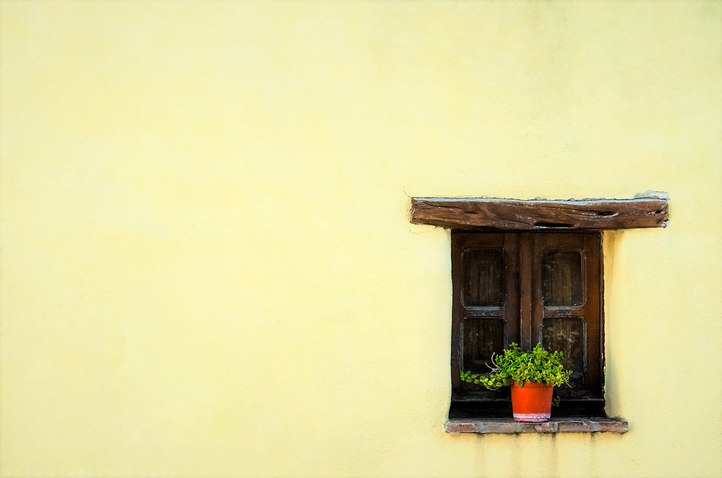 A vase of flowers at a rustic wooden window by Giampiero Acri on 500px.com