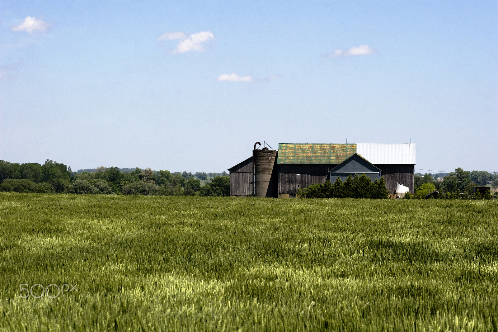 Canon EF 75-300mm f/4-5.6 USM sample photo. Field and barn photography