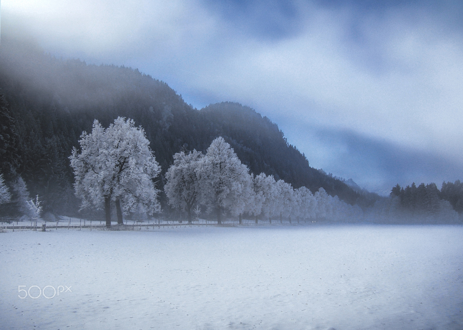 Fujifilm FinePix E550 sample photo. Blue winter photography