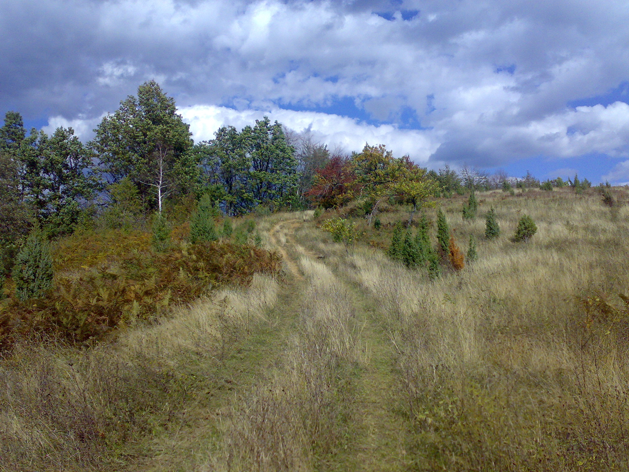 Nokia N73 sample photo. Autumn colors photography