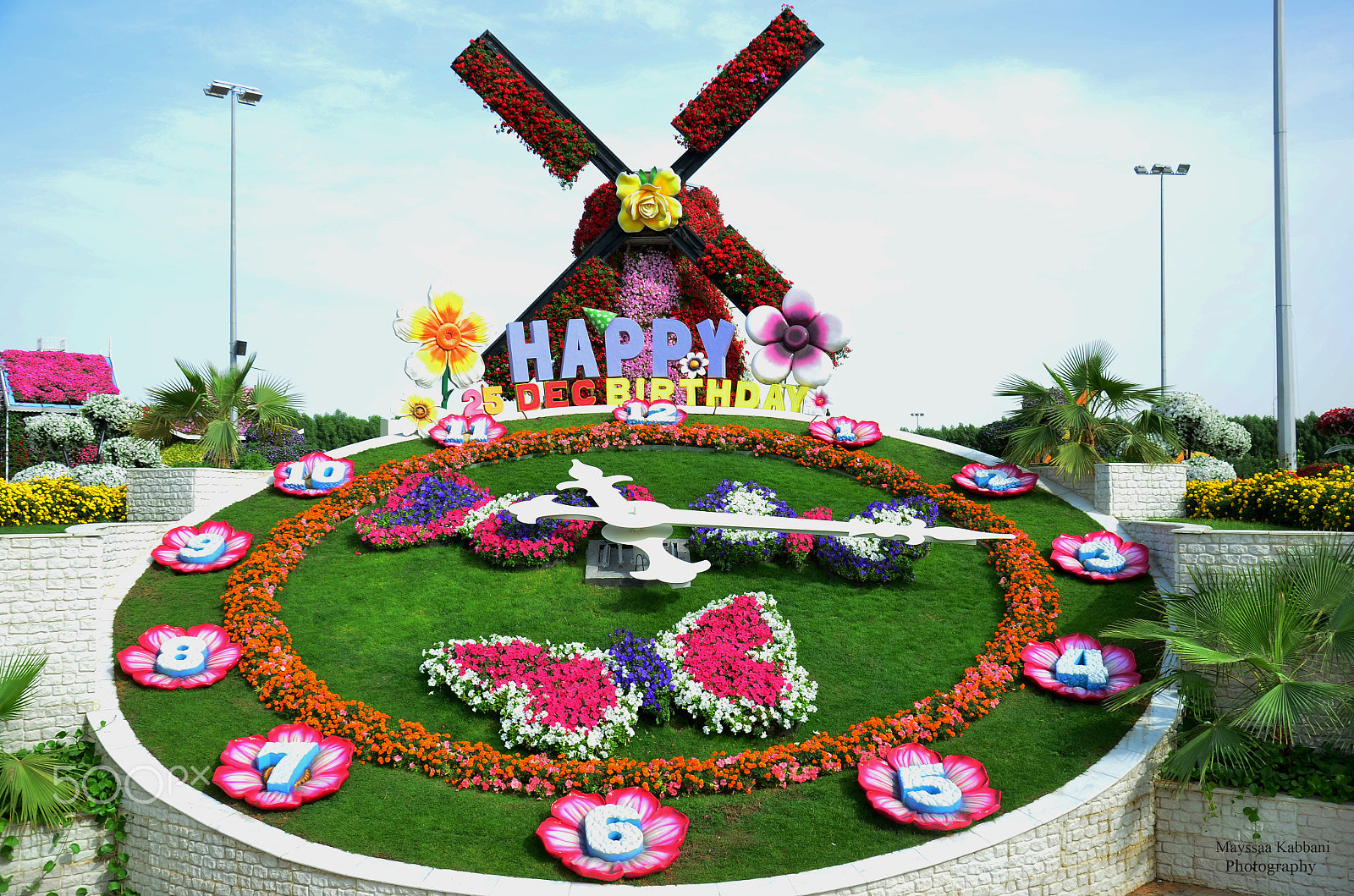 Nikon D7000 + AF Nikkor 50mm f/1.8 N sample photo. Flowers clock photography