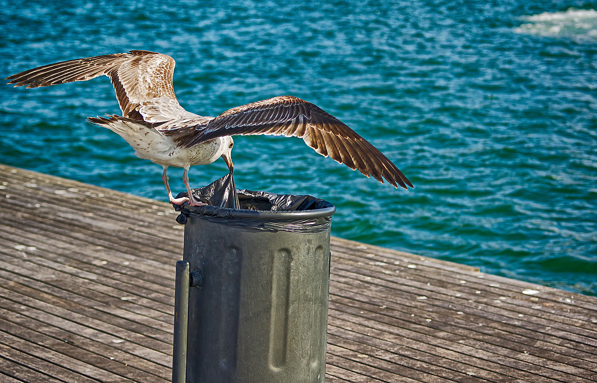 35-70mm F4 sample photo. Survival photography