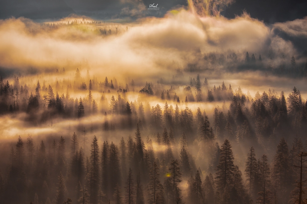 Yosemite Sunrise God Rays by Shuo Seal on 500px.com