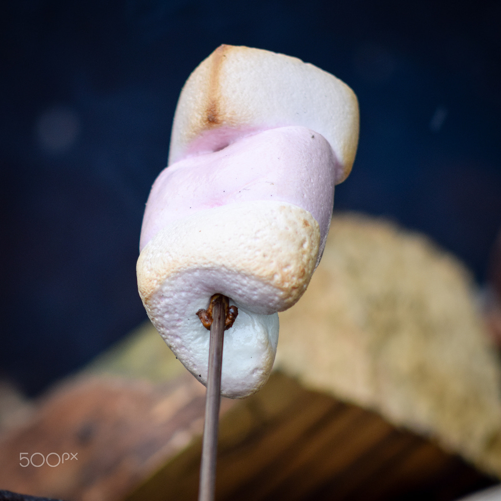AF Nikkor 70-210mm f/4-5.6 sample photo. Marshmallow photography