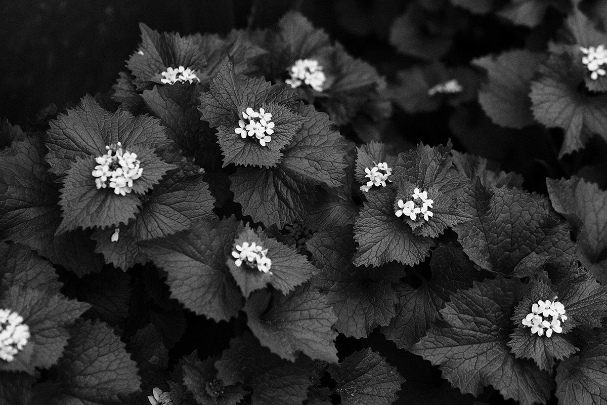 Olympus PEN E-PM2 sample photo. *** photography
