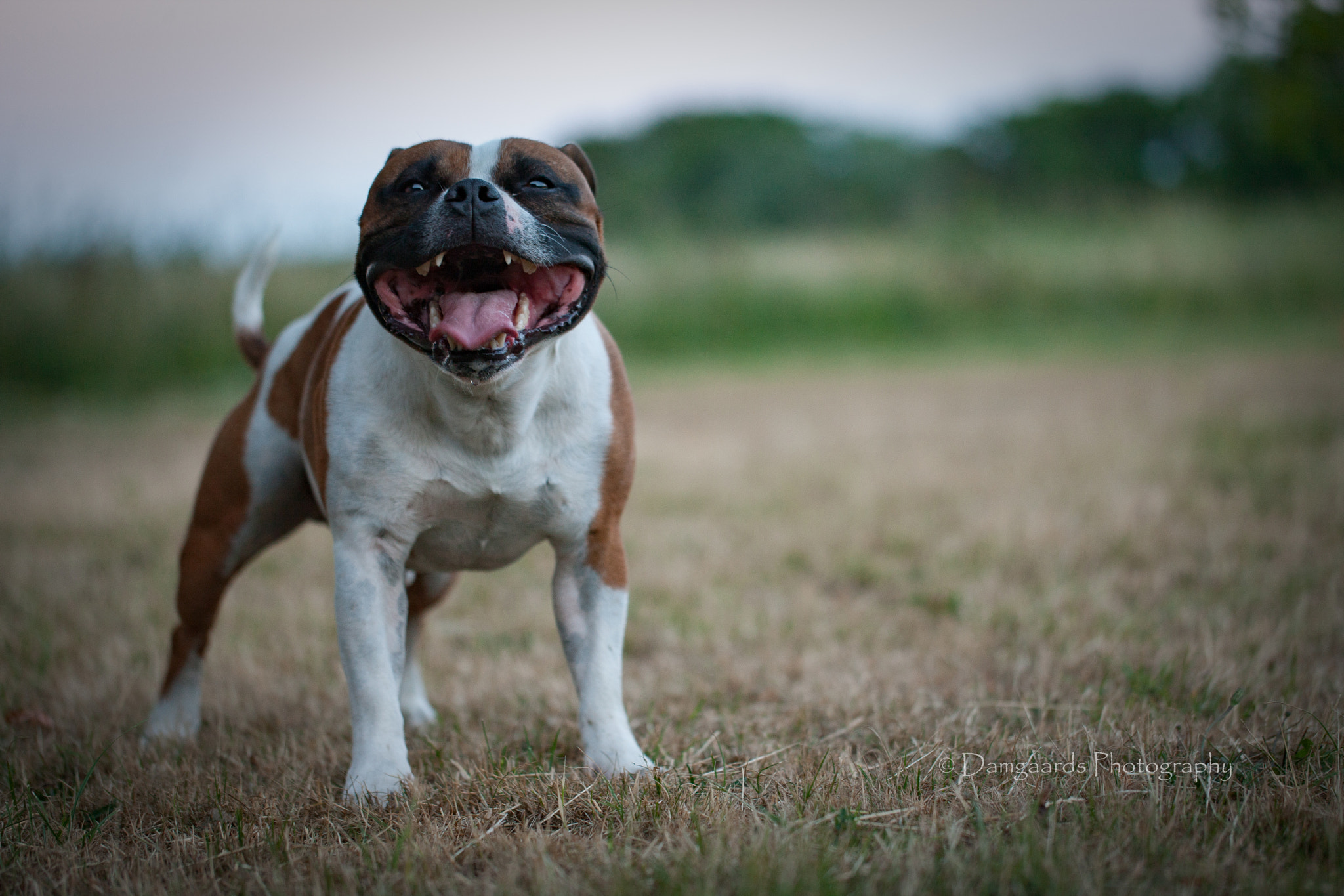 Canon EOS-1Ds Mark III sample photo. 5l0r2002.jpg photography