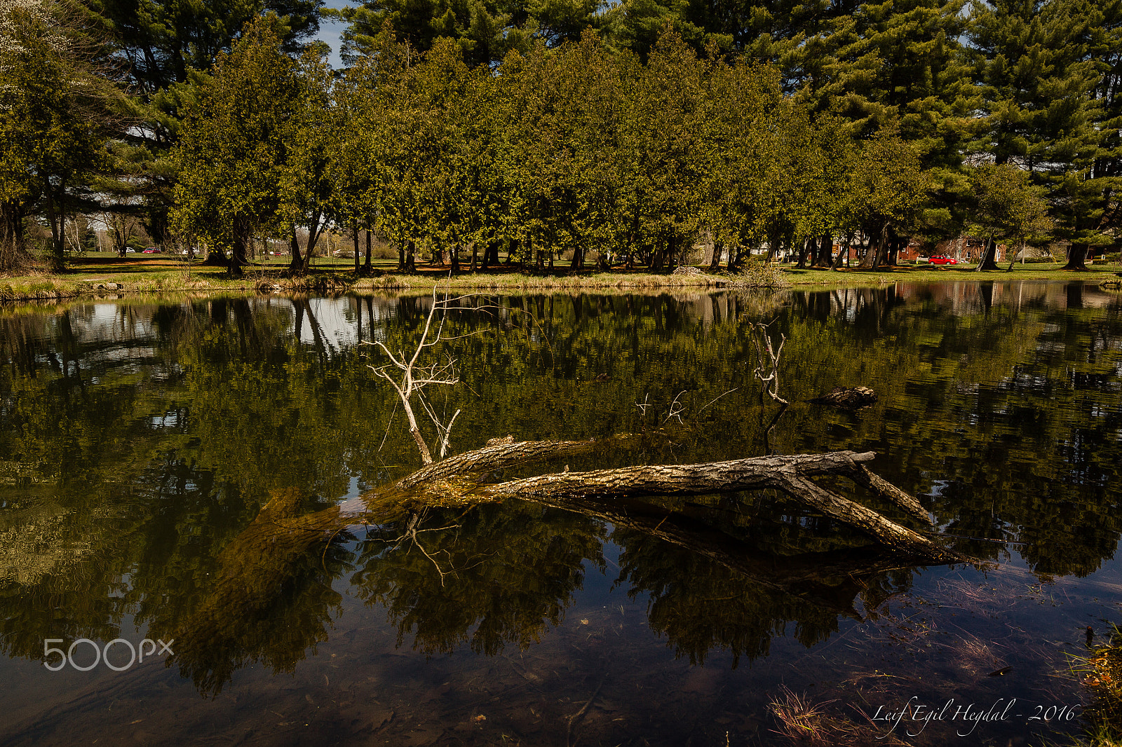 Canon EOS-1D Mark IV + Canon EF 16-35mm F4L IS USM sample photo. Crandall park ii photography