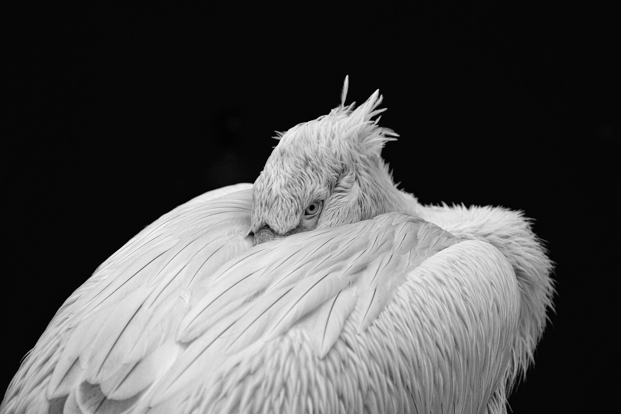 Nikon D3X sample photo. Good night photography