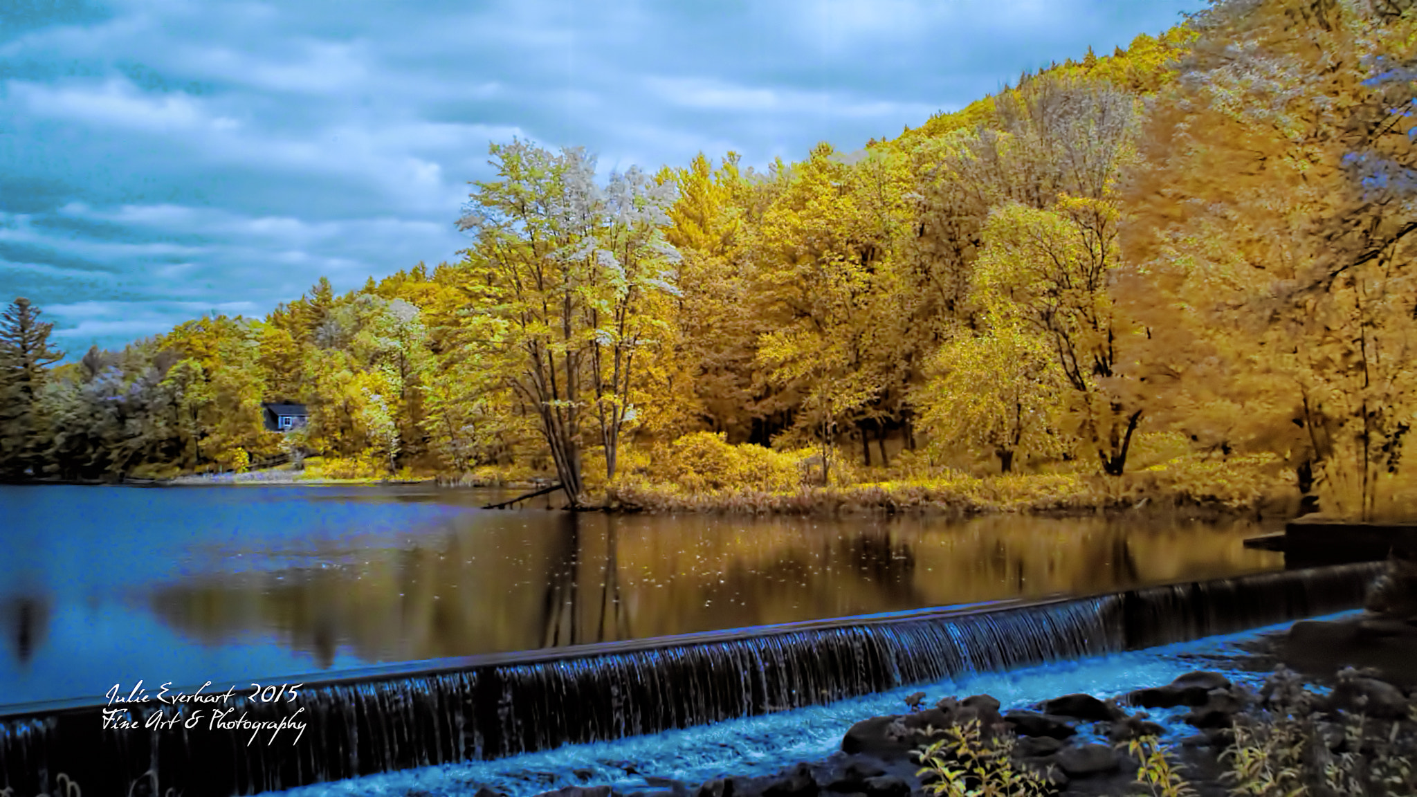 Nikon D70 sample photo. Golden dream photography