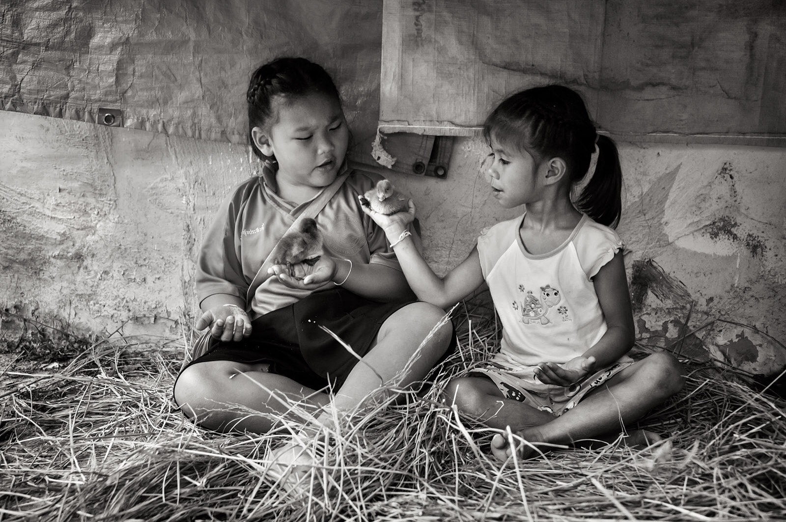 Nikon D3S sample photo. "puppy ducks" children play with their new friends in rural thailand. photography