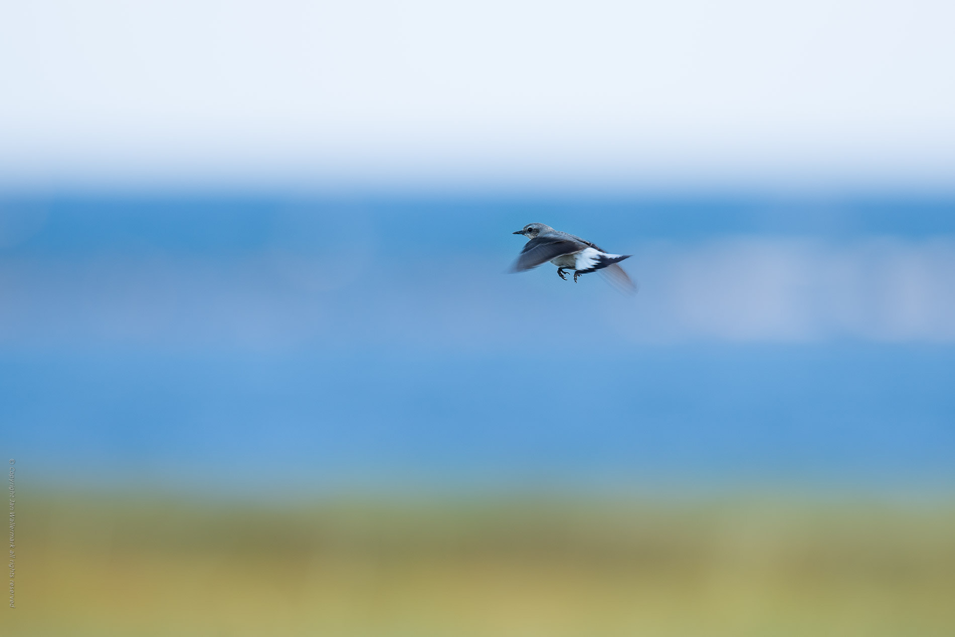 Nikon AF-S Nikkor 400mm F2.8E FL ED VR sample photo. Flight training photography