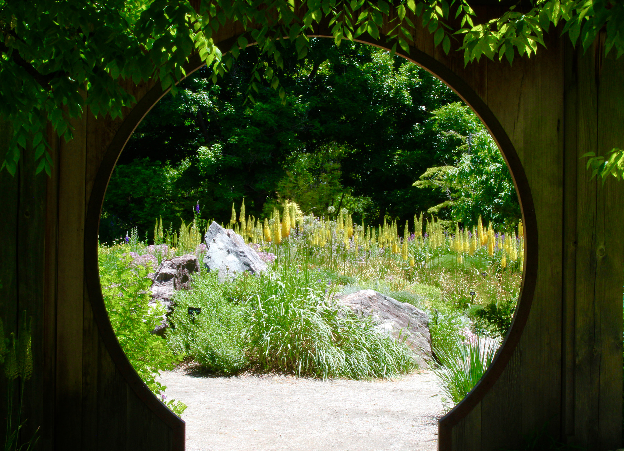 Sigma 18-125mm f/3.5-5.6 DC IF ASP sample photo. Garden gate photography