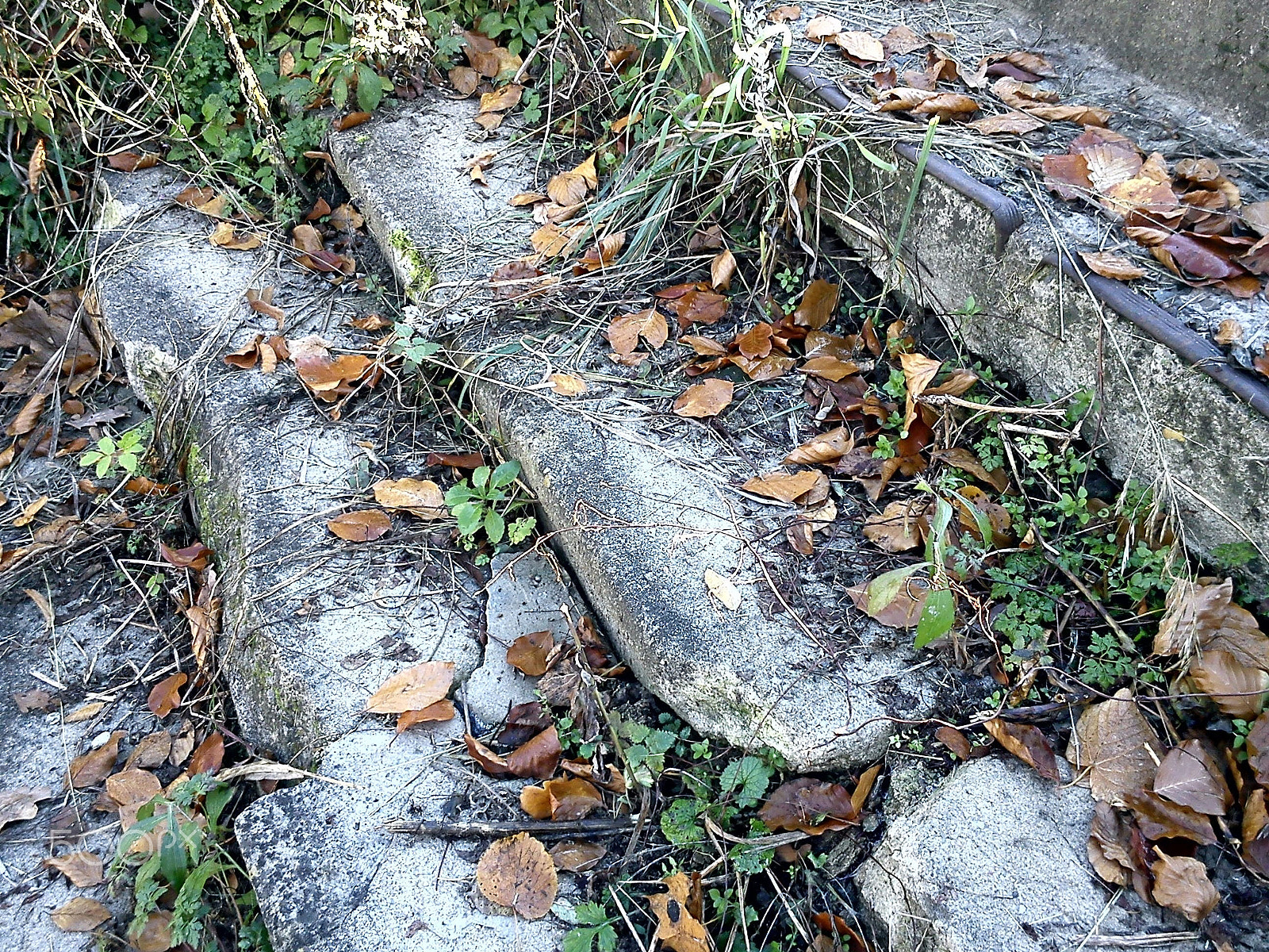 Sony Ericsson J10i2 sample photo. Forgotten steps photography