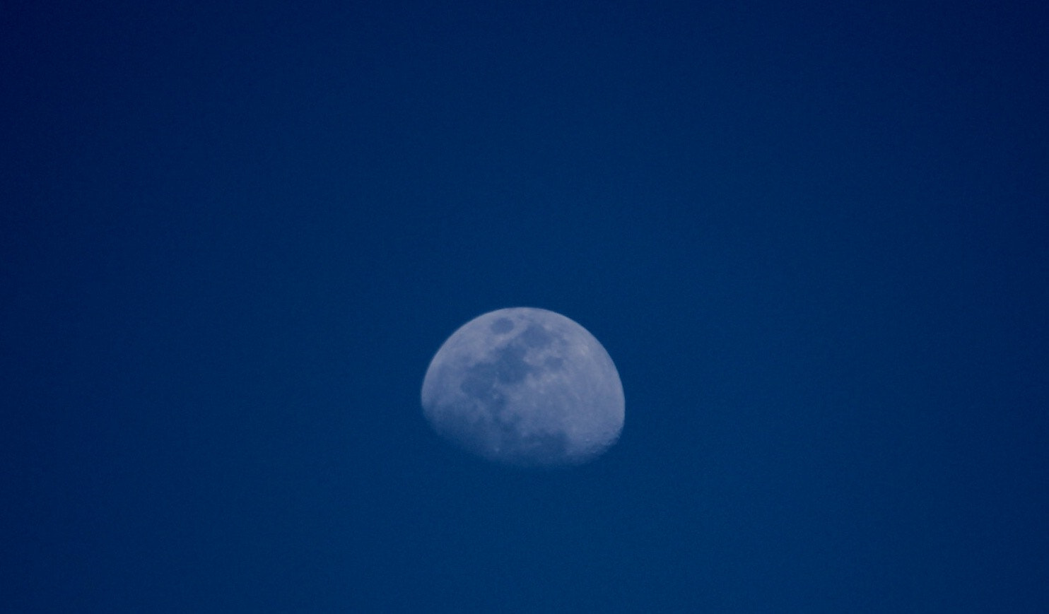 Canon EF75-300mm f/4-5.6 sample photo