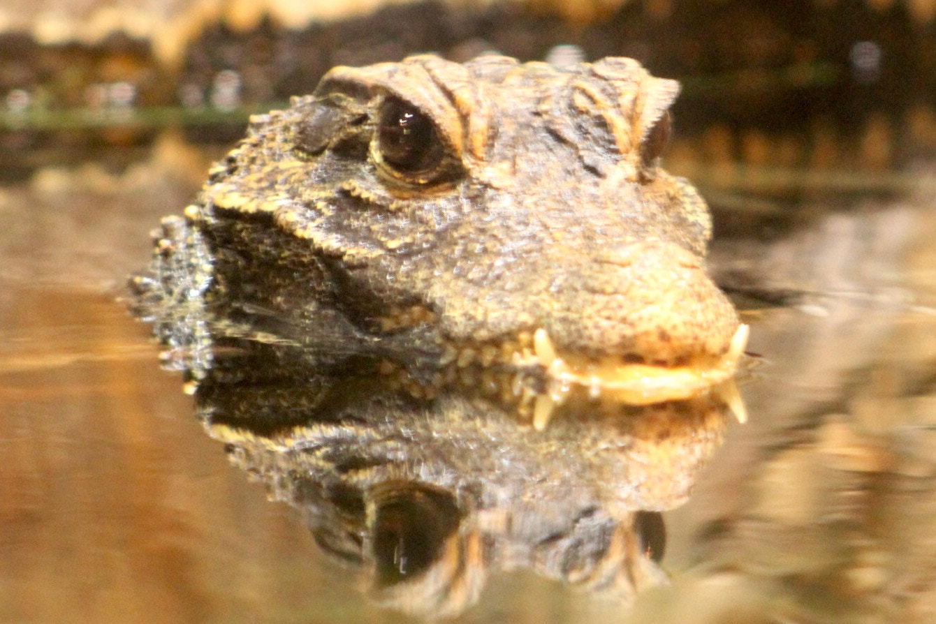 Canon EF75-300mm f/4-5.6 sample photo