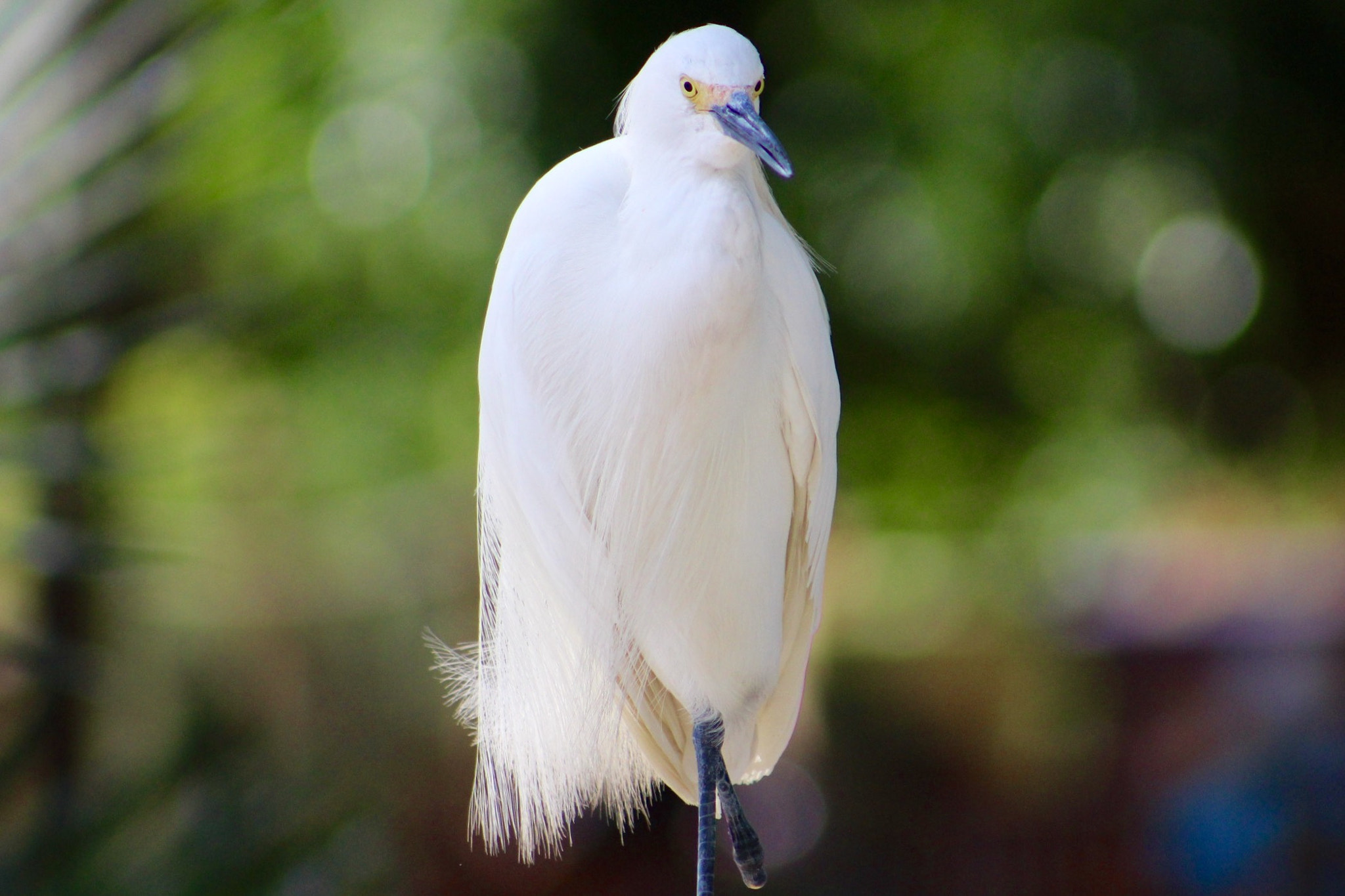 Canon EF75-300mm f/4-5.6 sample photo