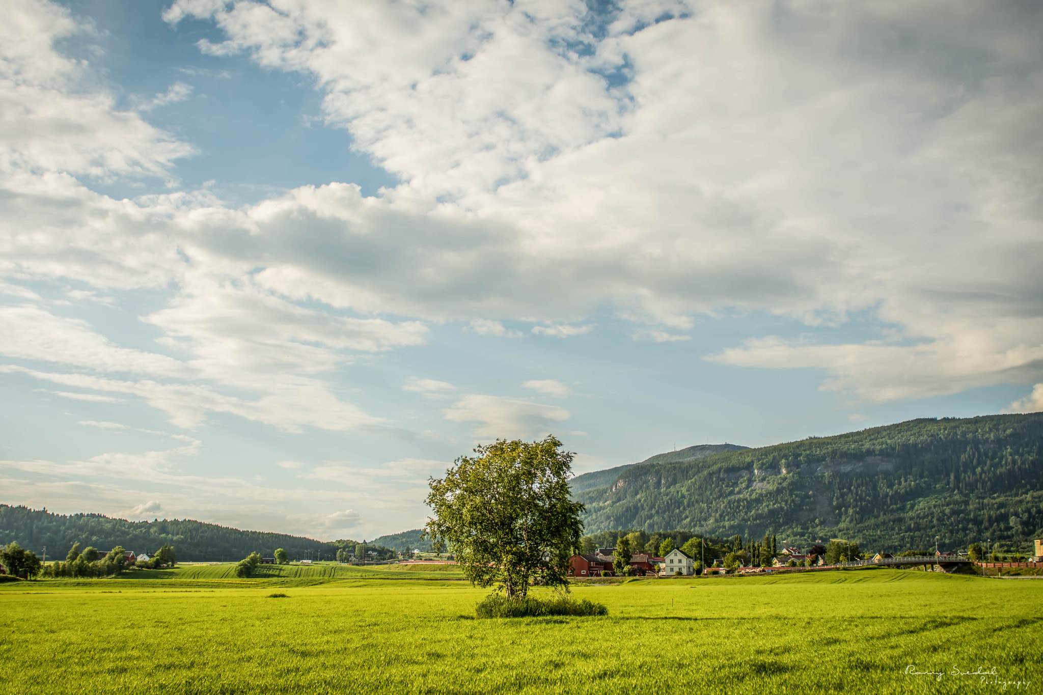 Nikon D7200 + Sigma 24-70mm F2.8 EX DG Macro sample photo. The fruitland photography