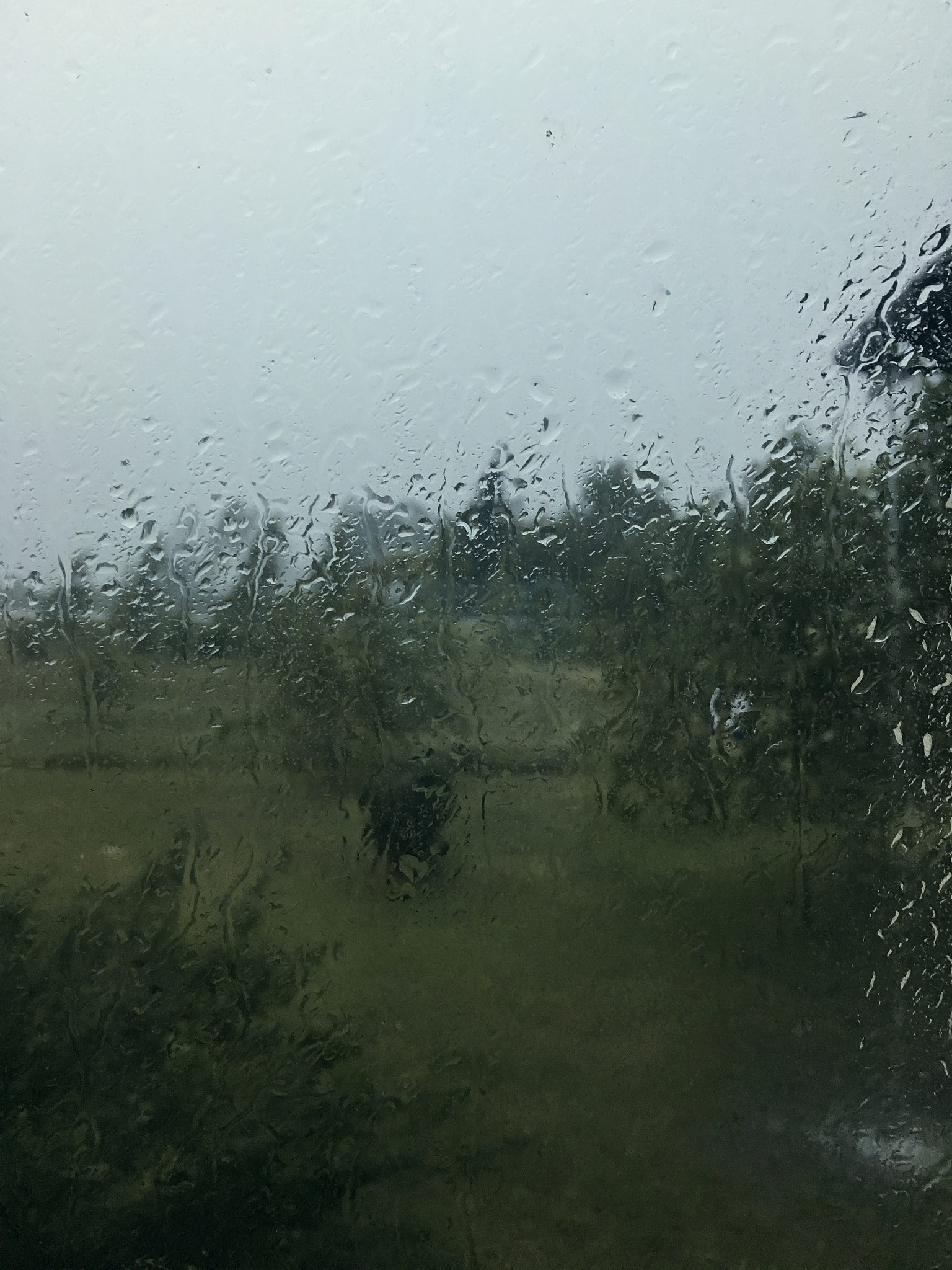 Apple iPhone8,1 sample photo. Weather's mood photography
