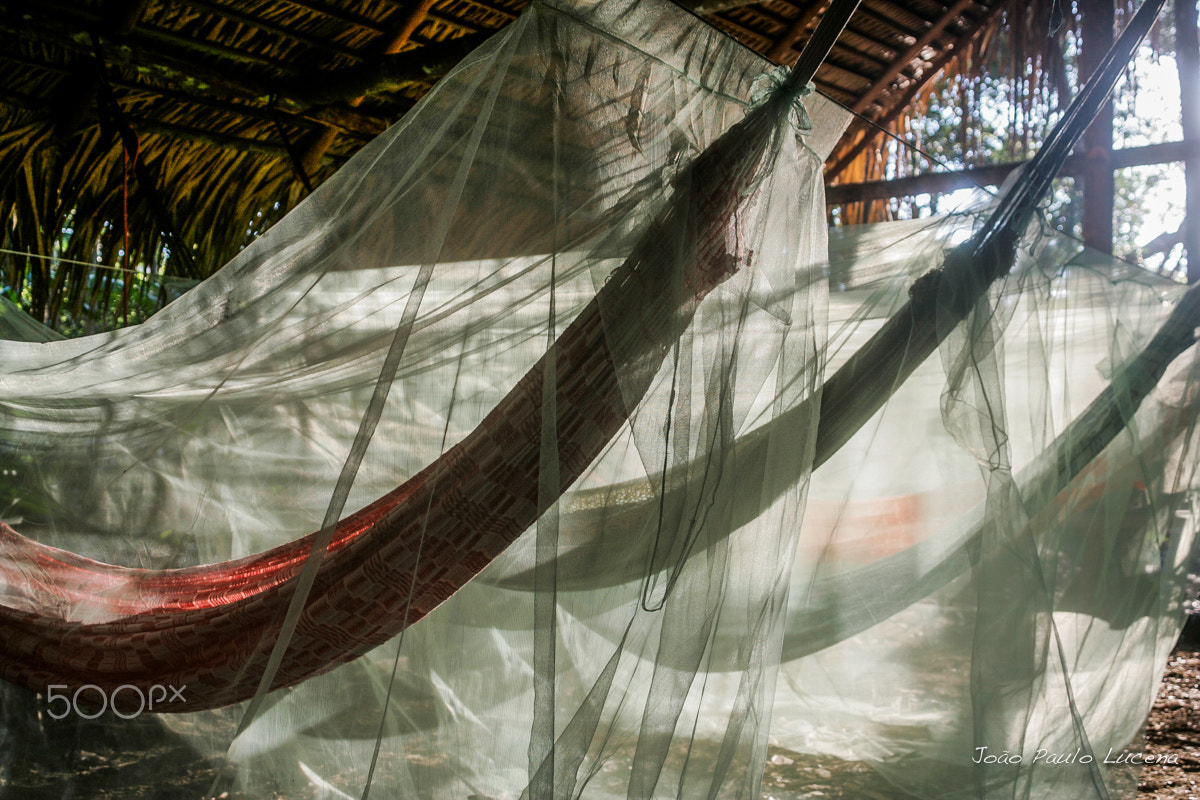 Canon EOS-1D Mark II + Canon EF 20-35mm F3.5-4.5 USM sample photo. Sunrise at the rain forest photography