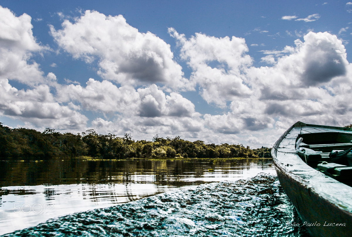Canon EOS-1D Mark II sample photo. Juma river photography
