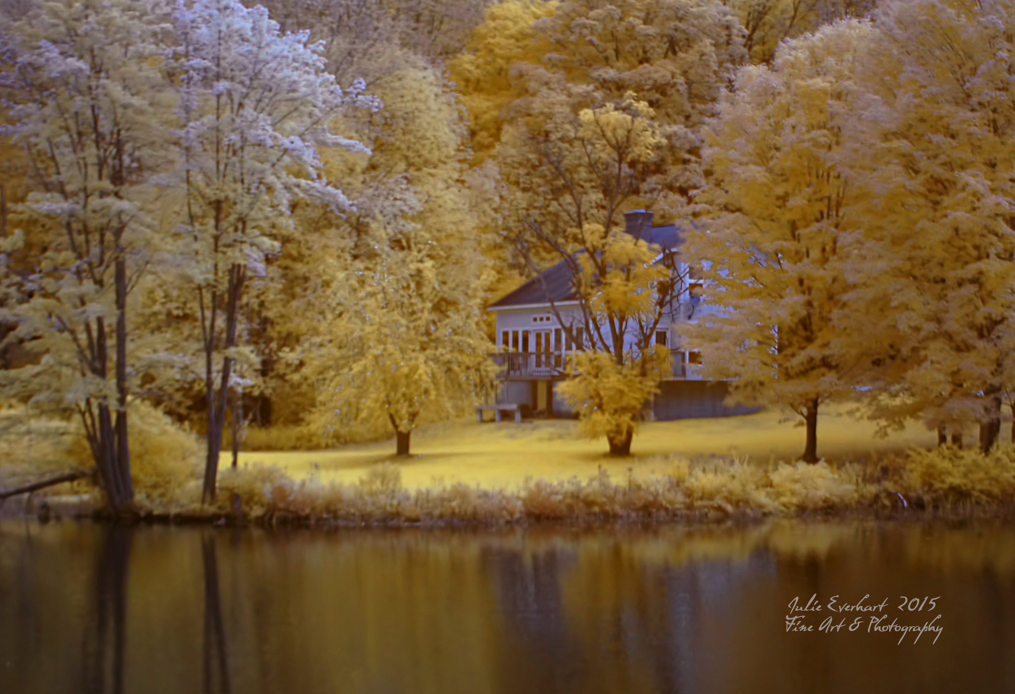 Nikon D70 sample photo. Hidden in the yellow trees photography
